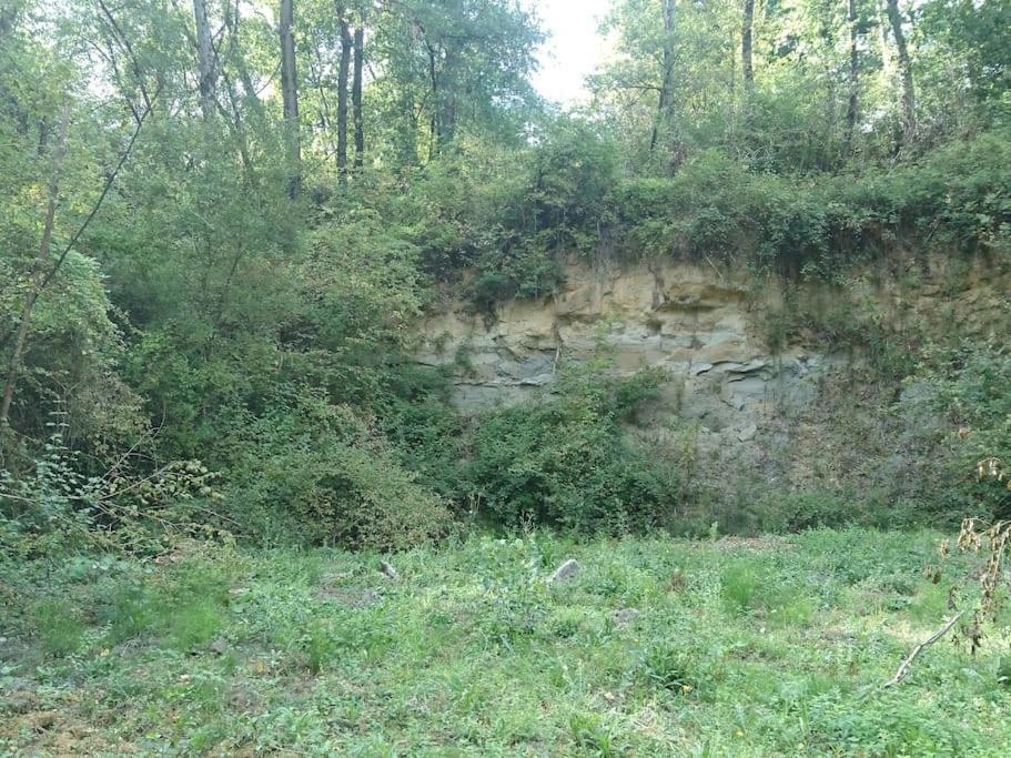 Location Meublee Au Milieu D'Un Ecrin De Verdure Aux Vieux Fours Noaillac Eksteriør bilde