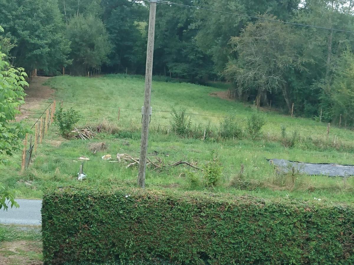 Location Meublee Au Milieu D'Un Ecrin De Verdure Aux Vieux Fours Noaillac Eksteriør bilde